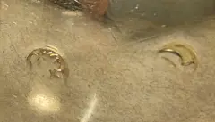 20261029 171055