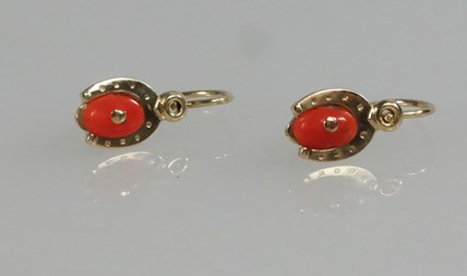 Gouden oorbelletjes met bloedkoraal