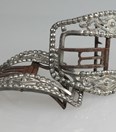 Antieke schoengespen